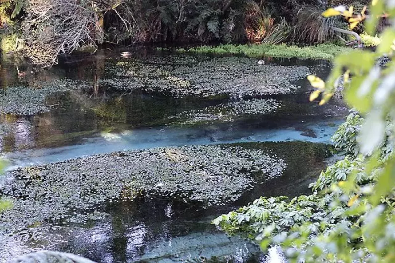 ハムラナ自然公園