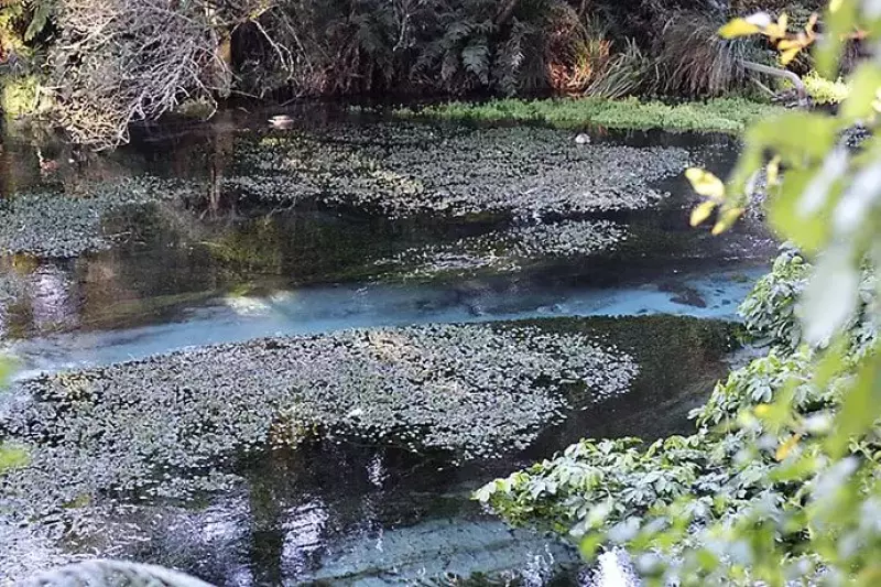 ハムラナ自然公園