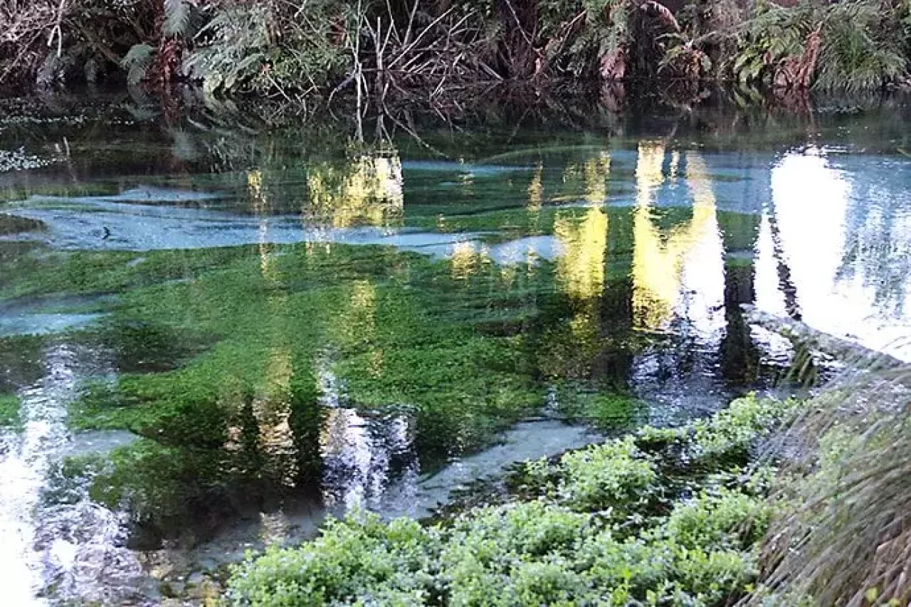 ハムラナ自然公園