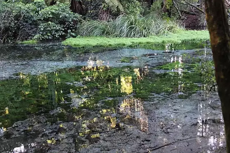 ハムラナ自然公園