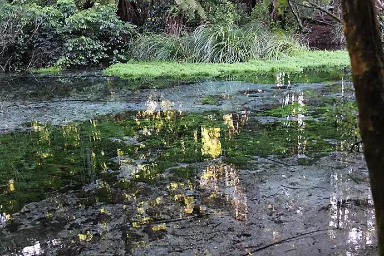 ハムラナ自然公園