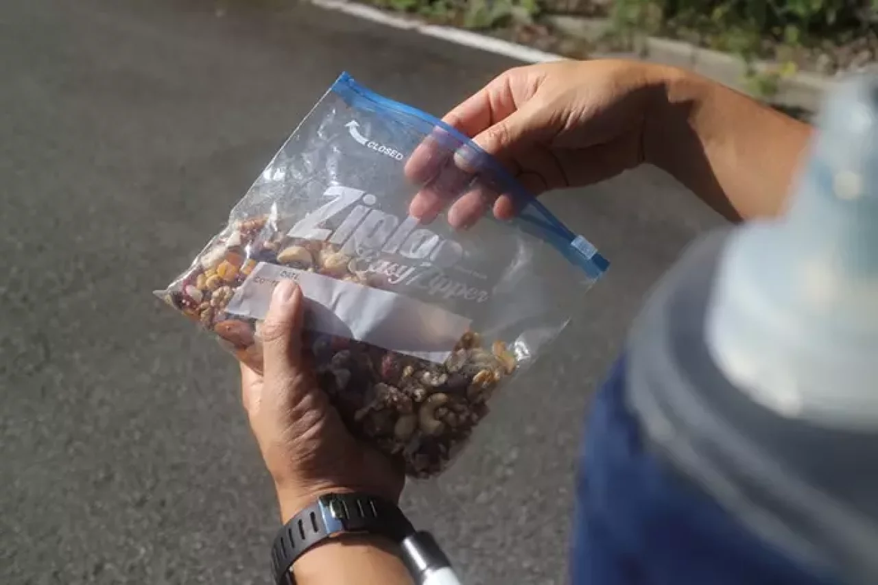 イージージッパーに行動食としてミックスナッツを入れておく