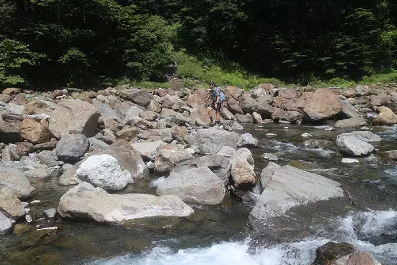 野呂川でテンカラ&フライフィッシング