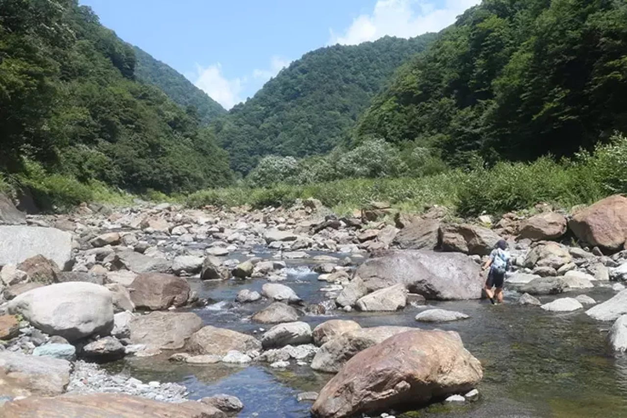 野呂川でテンカラ&フライフィッシング