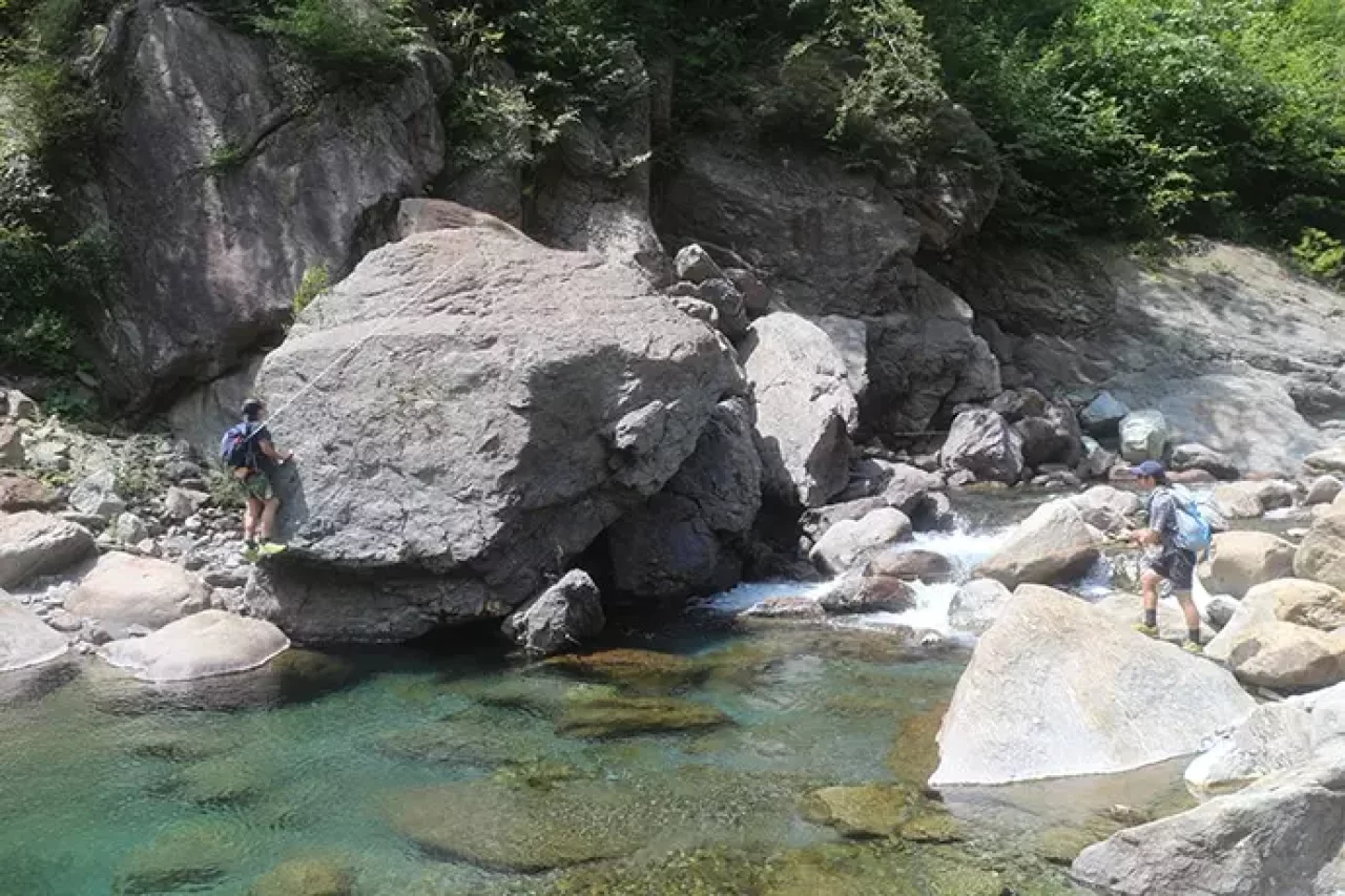 野呂川でテンカラ&フライフィッシング