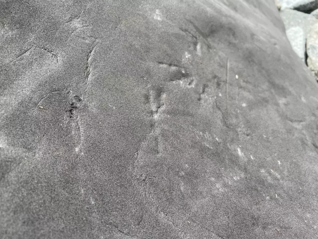 使えば使い込むほどに味が出る