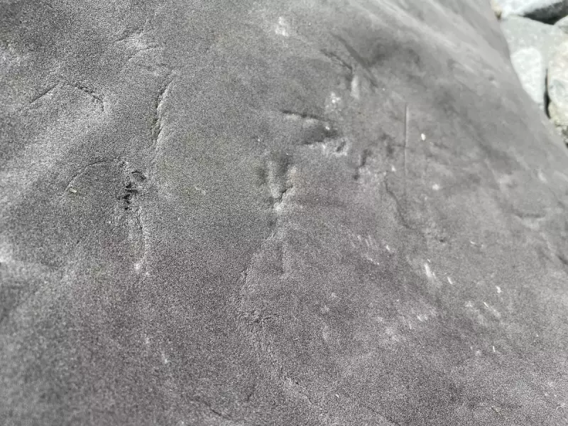 使えば使い込むほどに味が出る