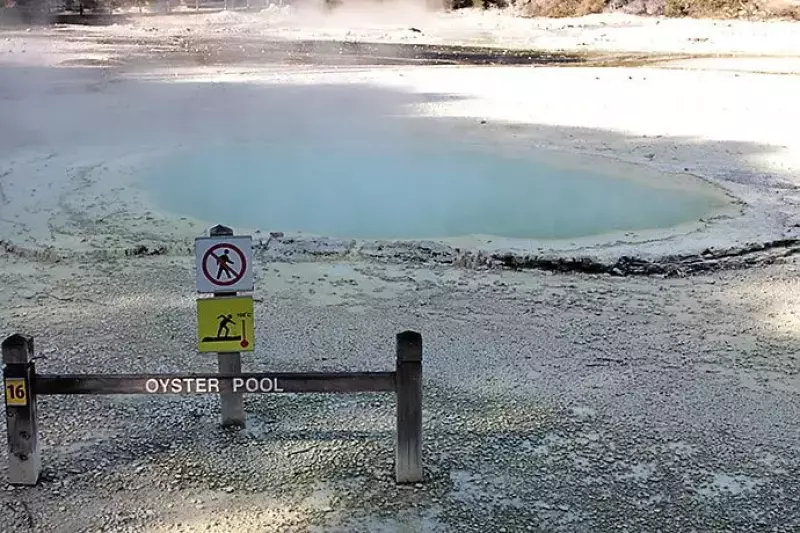 ニュージーランド ロトルアのワイオタプの見所