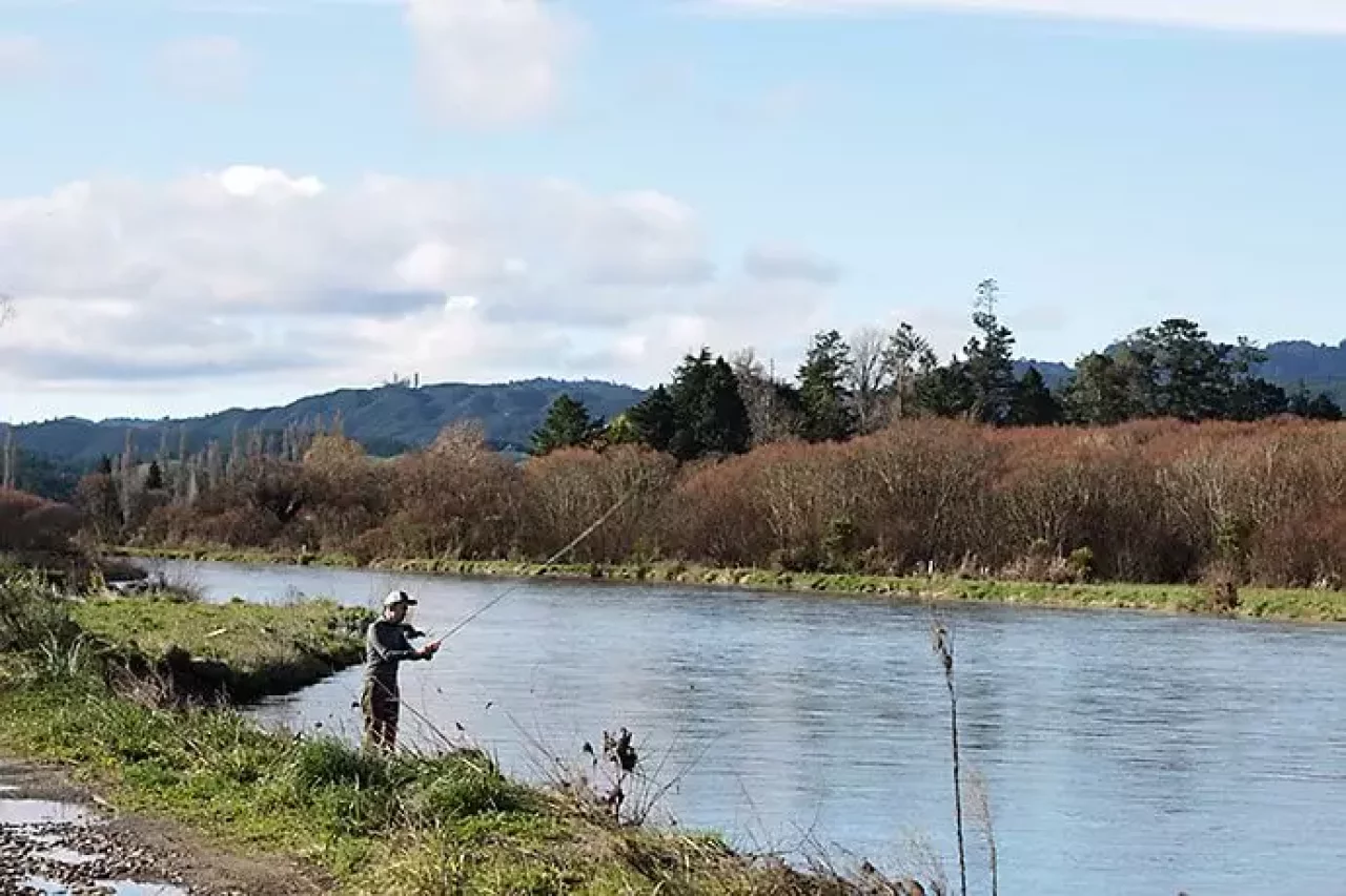 フライフィッシング