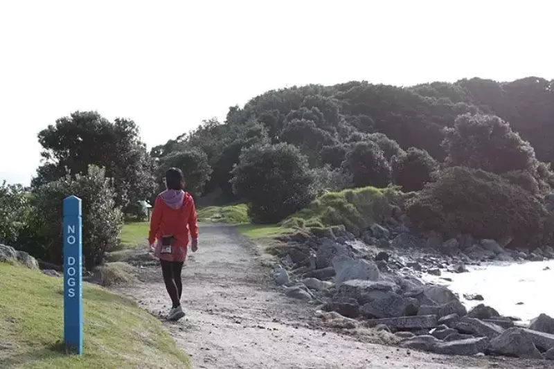 ニュージーランドのモチュリキ島