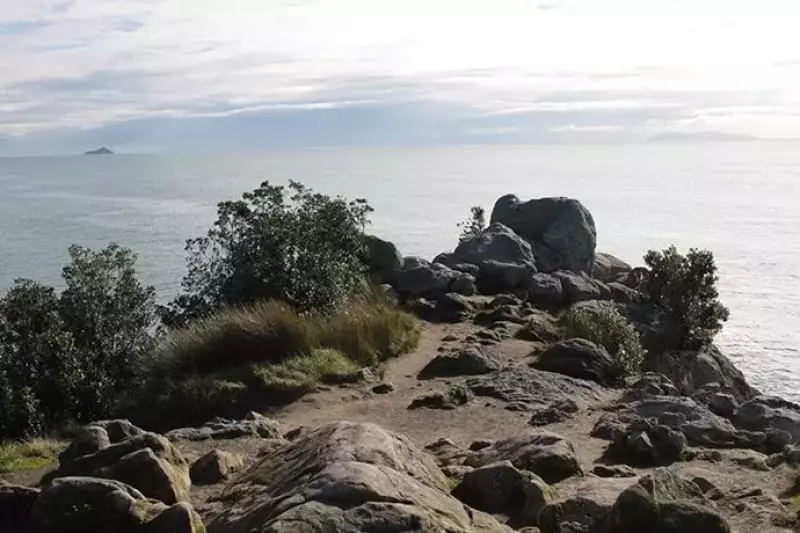 ニュージーランドのモチュリキ島