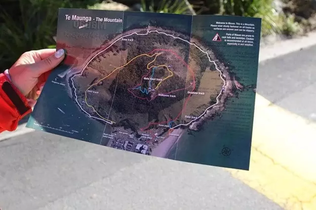 タウランガ「ザ・マウント」のコース