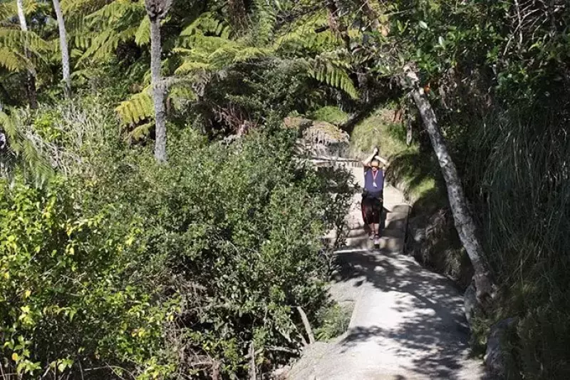 タウランガ「ザ・マウント」のトレイル