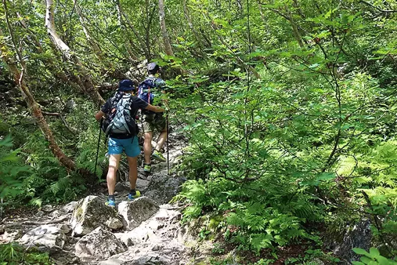 北岳までの登山道