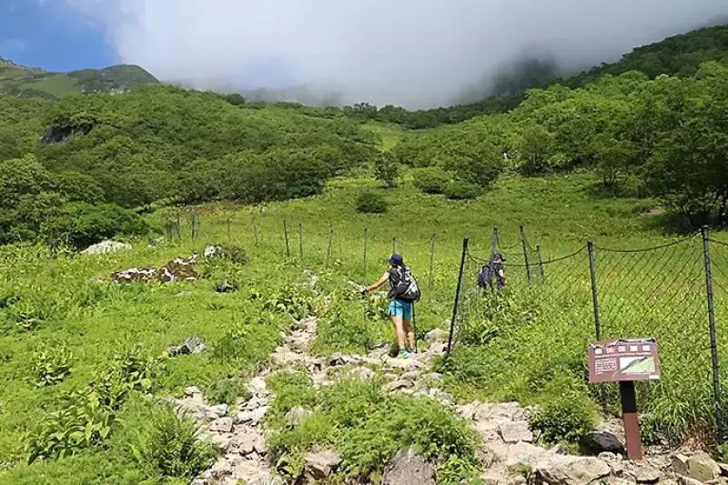 北岳までの登山道