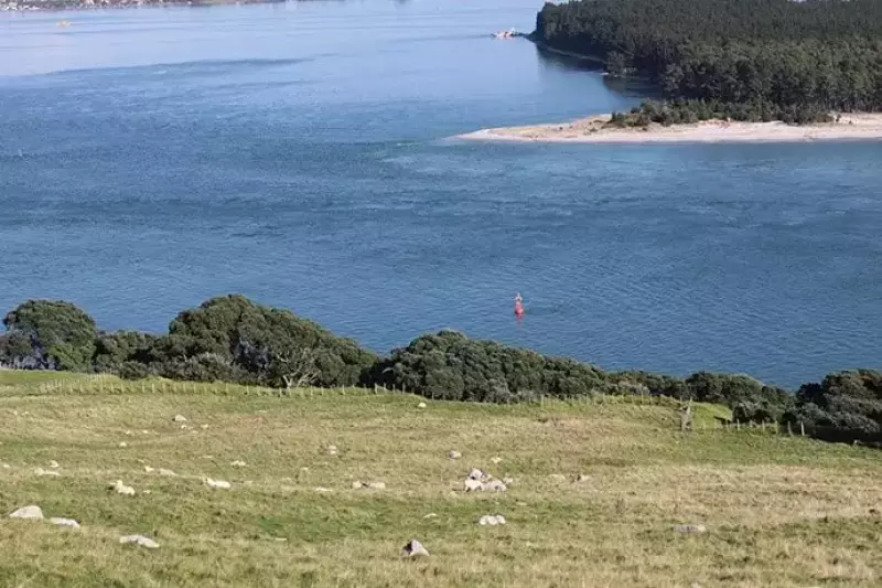 タウランガ「ザ・マウント」のトレイル