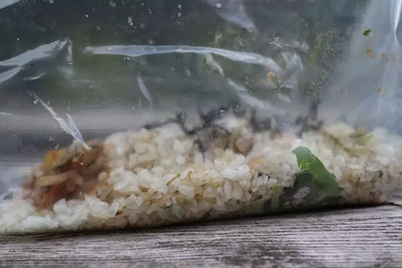 フリーザーバッグにお湯を入れて食事をする