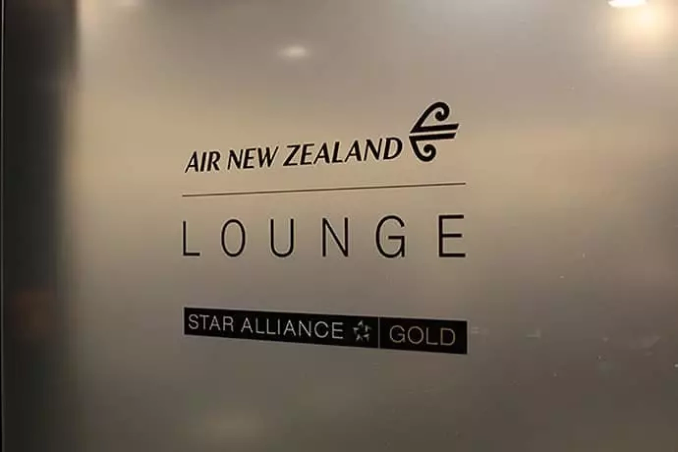 海外アウトドア紀行『ニュージーランド北島の旅 最終回』