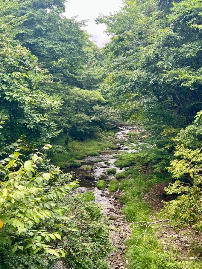 人と自然の共生