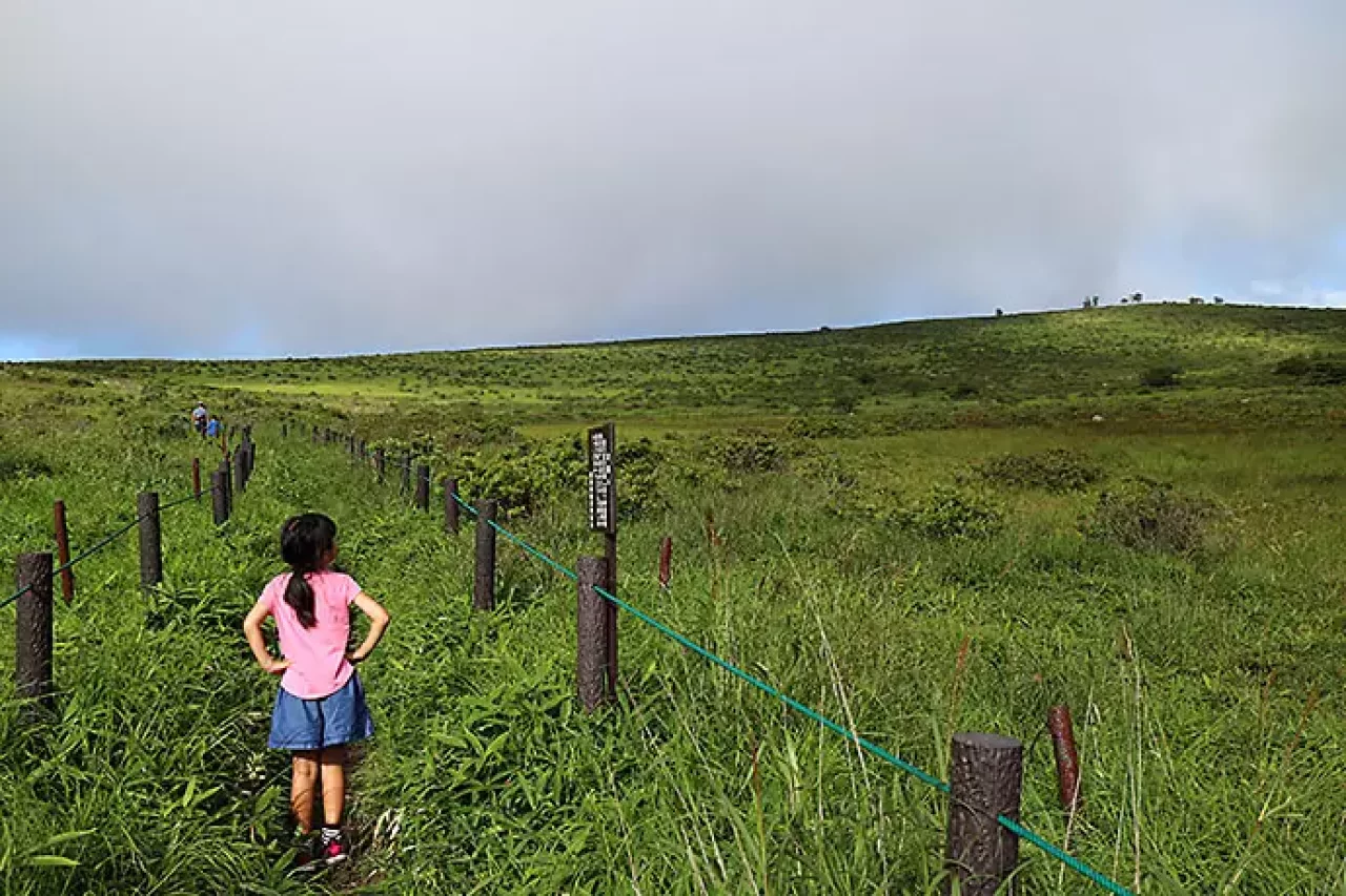 霧ヶ峰 車山湿原
