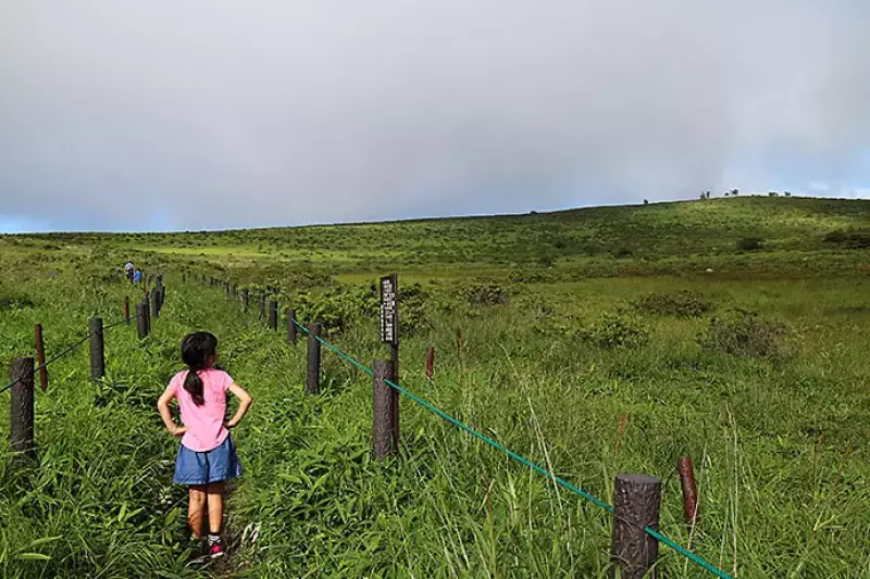 霧ヶ峰 車山湿原