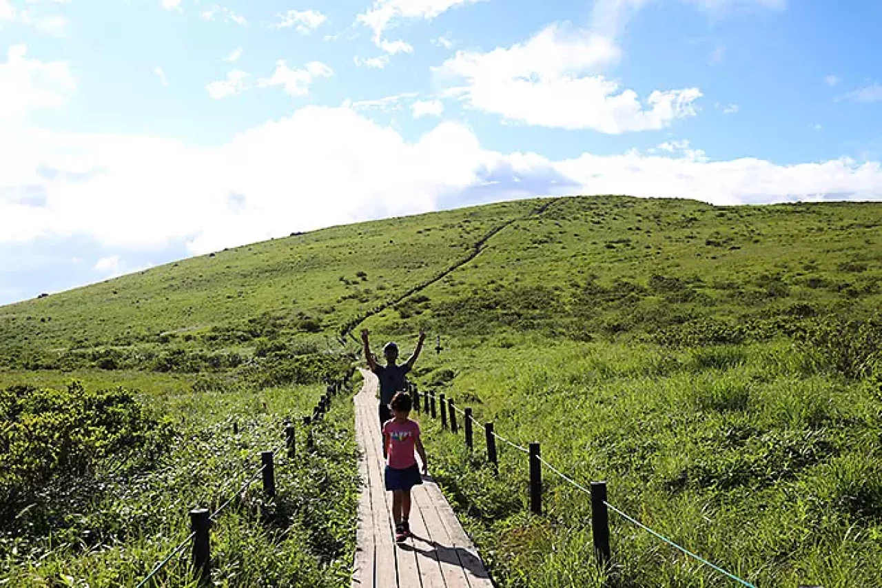 霧ヶ峰でトレラン
