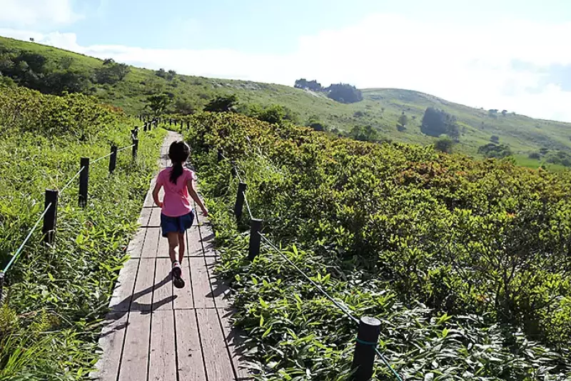 霧ヶ峰でトレラン