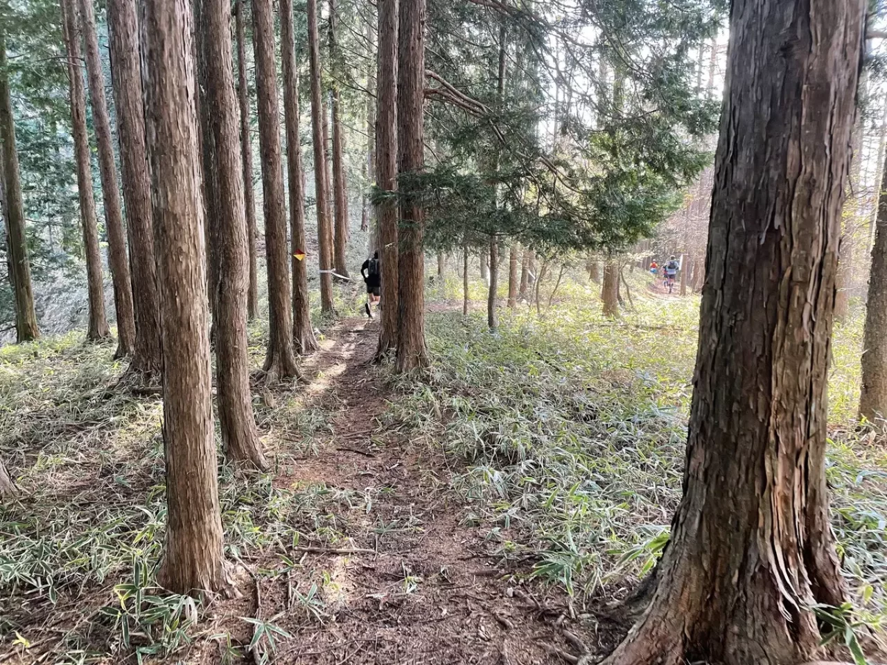 日光マウンテンランニング レース中