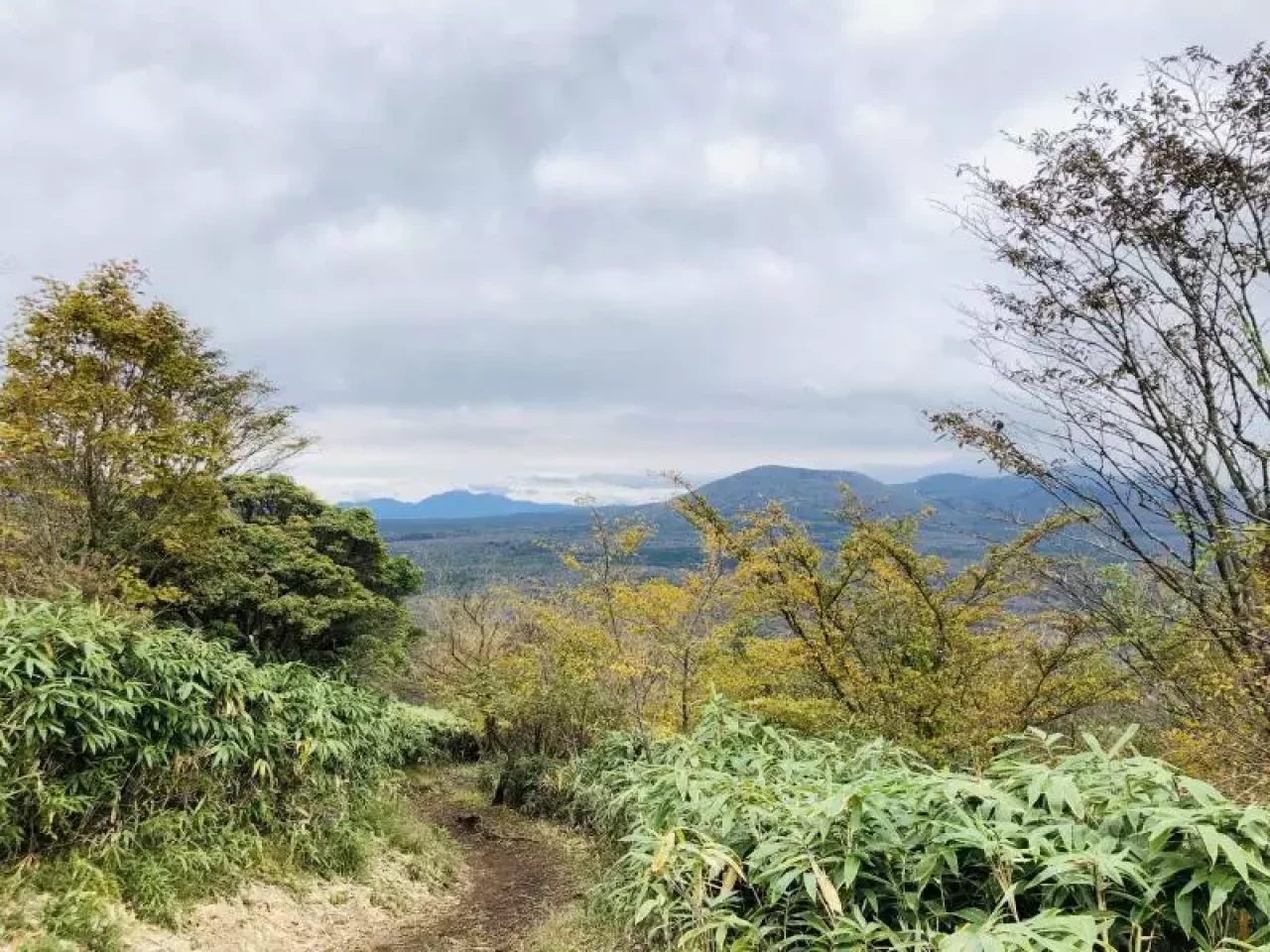 初心者にも安心の整備された登山道