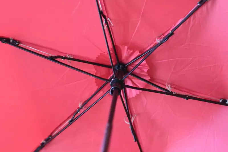 D-VECカーボンテクノロジーポータブルアンブレラ(コンパクトな傘)