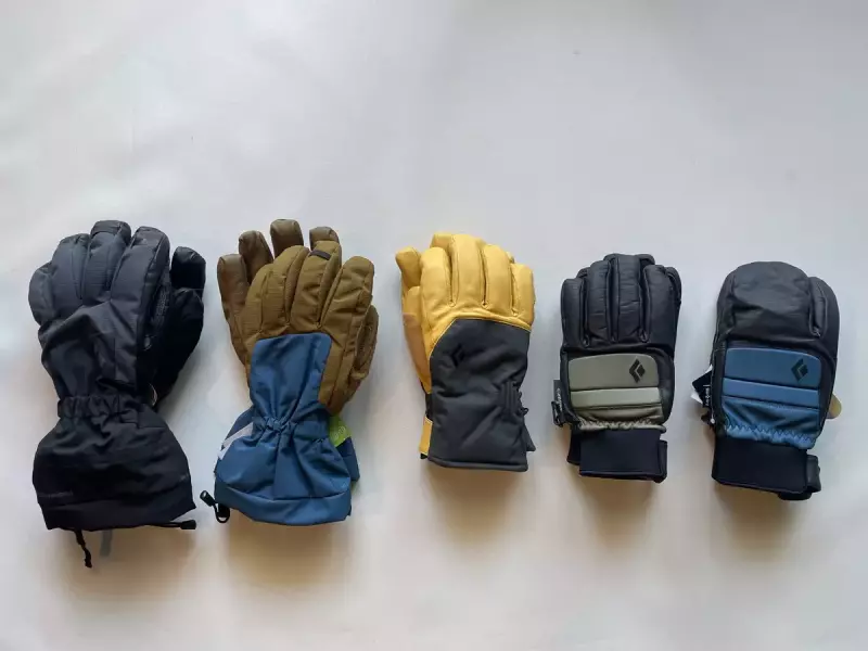 紹介するグローブについて