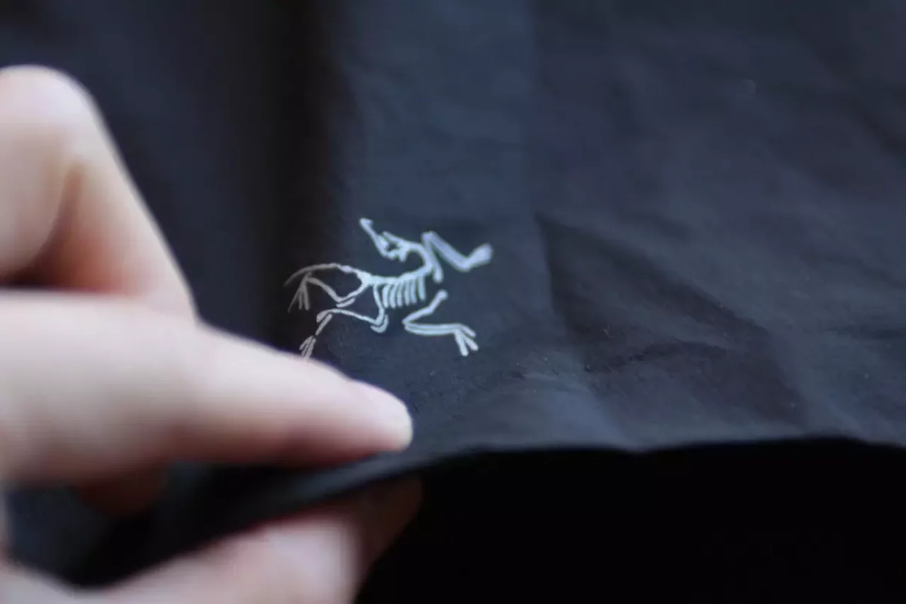 アークテリクス ソリアス ショーツ