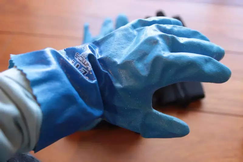 レイングローブ テムレス