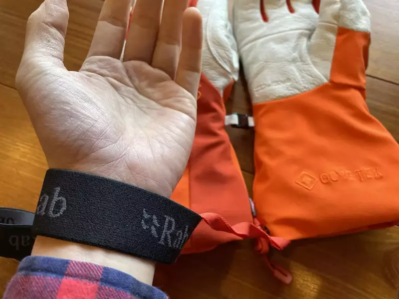 取り外し可能なリーシュ