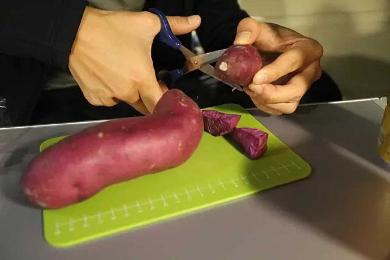 東京キャンピングカーレンタルセンター「ハイエース プレシャス」の車内