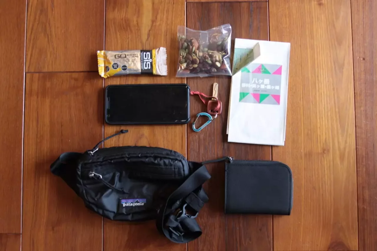 パタゴニア ポシェット