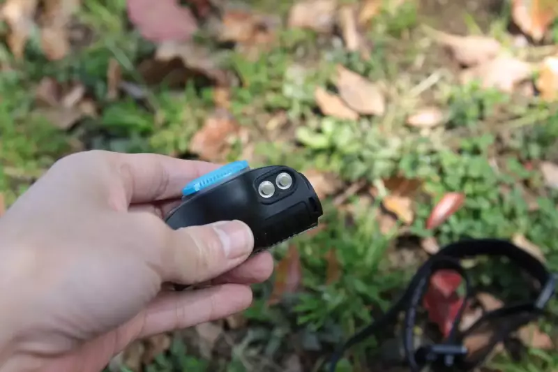 Ledlenser(レッドレンザー) MH5 ブラック