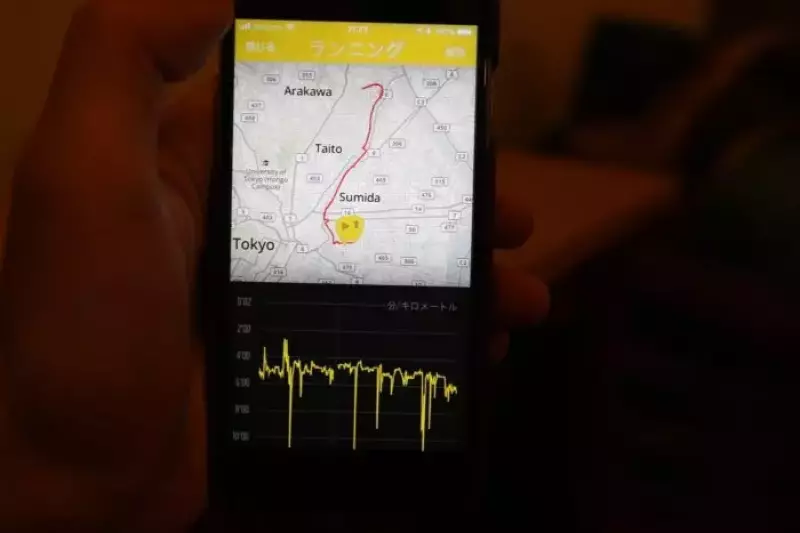 スントでトレーニングデータをチェック