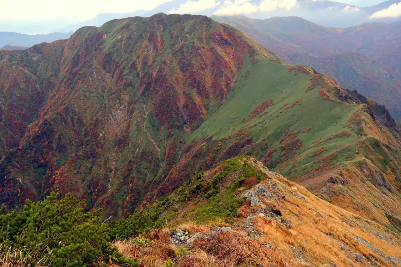 武能岳から 七ツ小屋山、大源太山を臨む