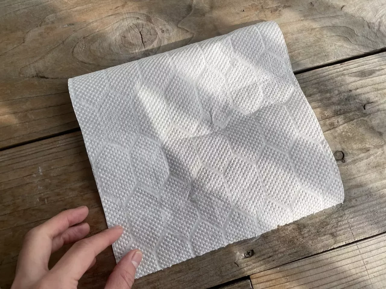 ステップ1:キッチンペーパーとプラティパスを準備する