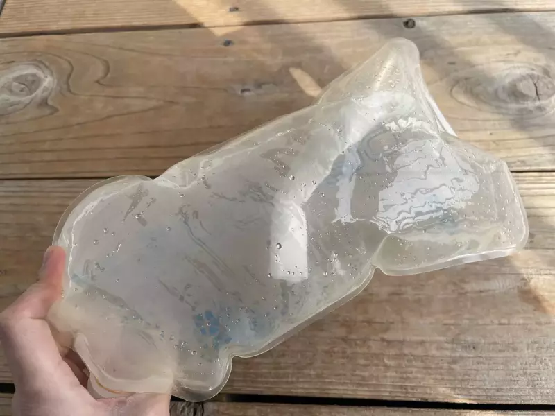 ステップ4:プラティパスを振る