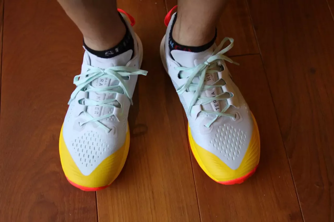 ナイキエアズームテラカイガー