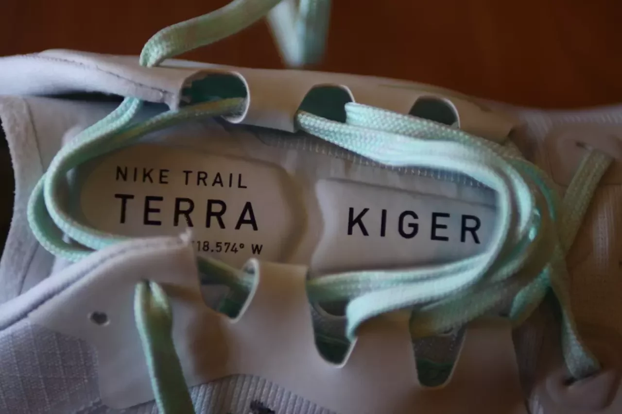 ナイキエアズームテラカイガー