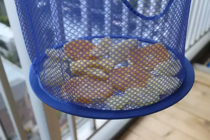 ドライフルーツ作り