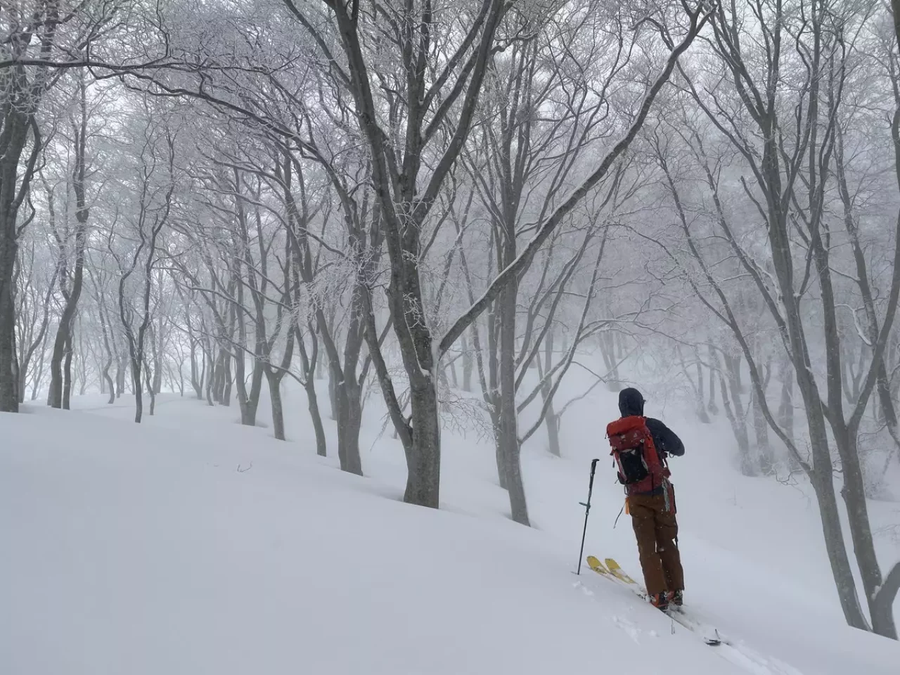 僕をテレマークスキーへと掻き立てた一言