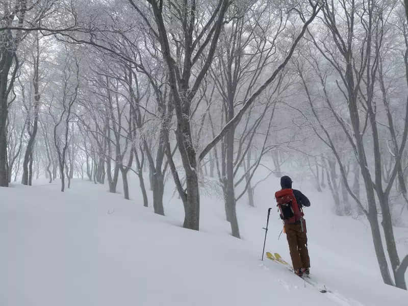 僕をテレマークスキーへと掻き立てた一言