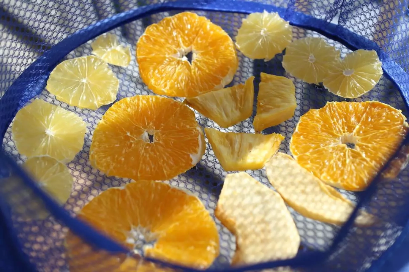 行動食を楽しいものに『簡単自家製ドライフルーツ』