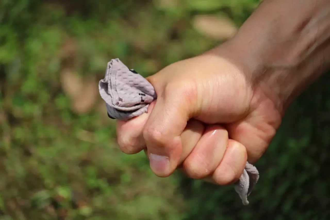 水に濡らして絞ればすぐに乾く