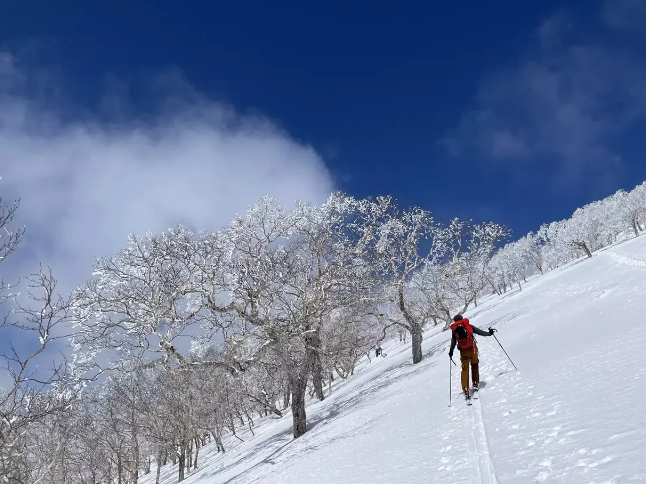 バックカントリースキーとは
