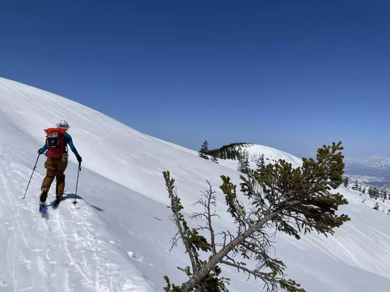 テレマークスキーは山の中でこそ活きる